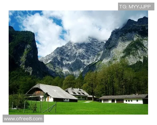 德国与奥地利精彩赛事直播全程回顾与分析尽在这里