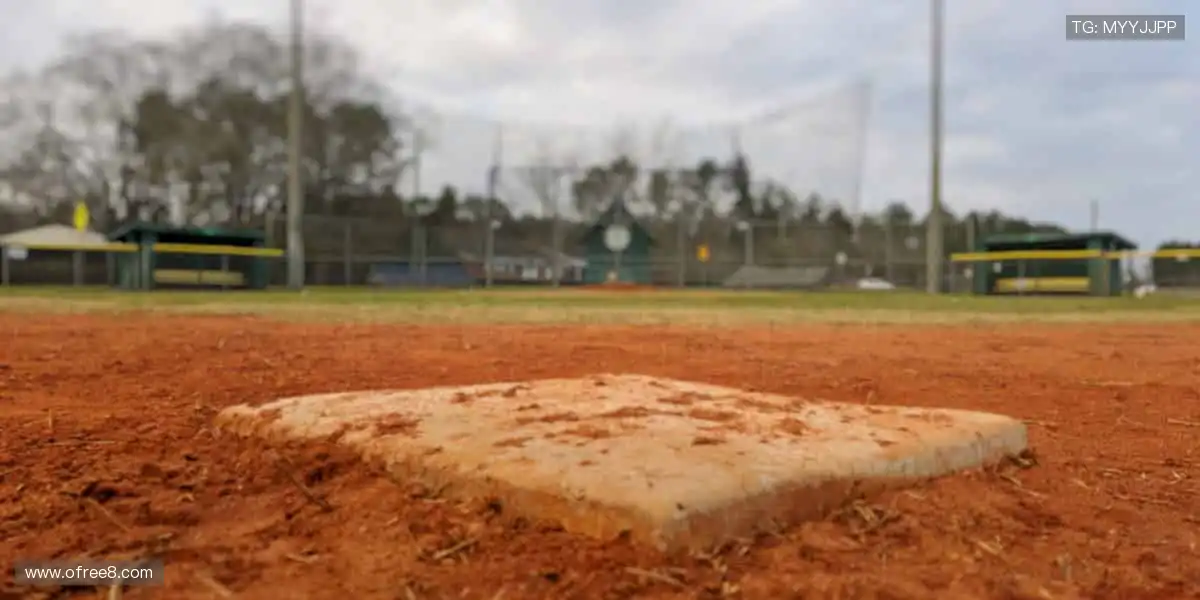 🎯 一键锁定，精彩赛事不错过！